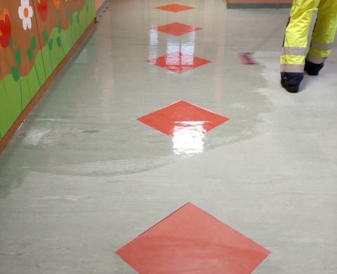 Czyszczenie linoleum Katowice